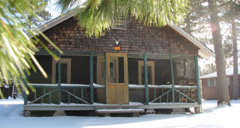 Chalet loup extérieur