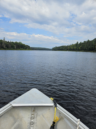 Photo from customer review