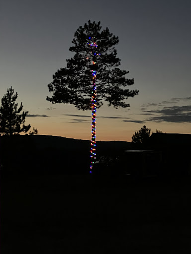 Photo from customer review